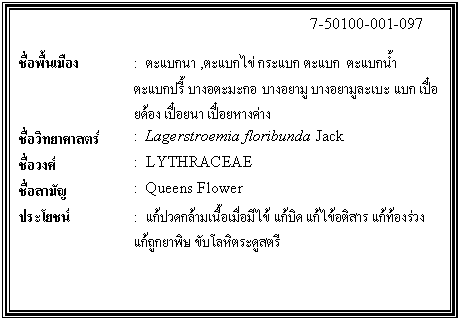 กล่องข้อความ: 7-50100-001-097 ชื่อพื้นเมือง : ตะแบกนา ,ตะแบกไข่ กระแบก ตะแบก ตะแบกน้ำ ตะแบกปรี้ บางอตะมะกอ บางอยามู บางอยามูละเบะ แบก เปื๋อยด้อง เปื๋อยนา เปื๋อยหางค่าง ชื่อวิทยาศาสตร์ : Lagerstroemia floribunda Jack ชื่อวงศ์ : LYTHRACEAE ชื่อสามัญ : Queens Flower ประโยชน์ : แก้ปวดกล้ามเนื้อเมื่อมีไข้ แก้บิด แก้ไข้อติสาร แก้ท้องร่วง แก้ถูกยาพิษ ขับโลหิตระดูสตรี